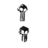 Sterling Multi Products Round Spring Mounting Screw