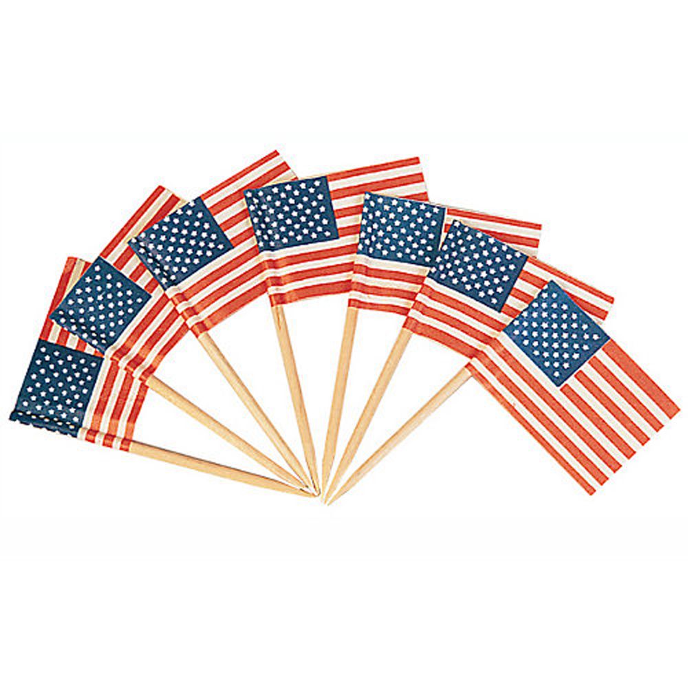 Goldmax American Flag Toothpicks