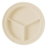 Undecorated Bone Plate, 3 Compartment, 9"
