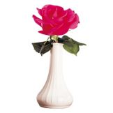 Cambro White Camwear&reg; 6" Bud Vase