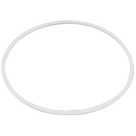 Replacement Gasket for CamServers&reg;