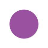 DayMark DuraMark&trade; Round Purple 1" Blank Label