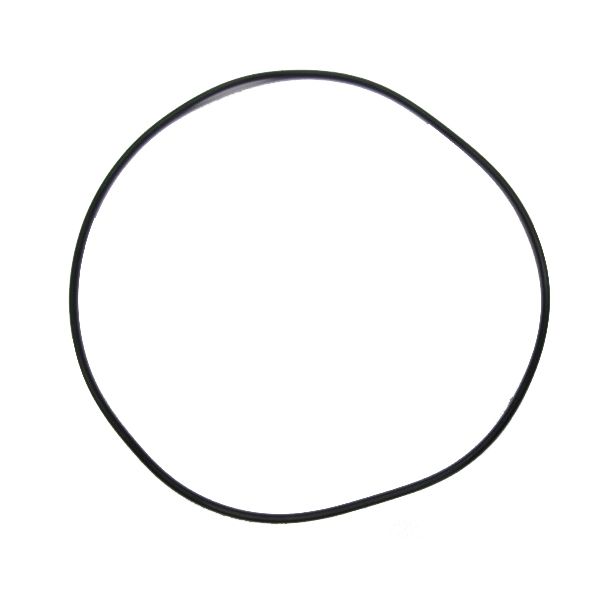 Dynamic International O-Ring for Salad Spinner SD92