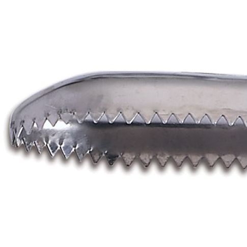 JB Prince Stainless Steel Fish Scaler