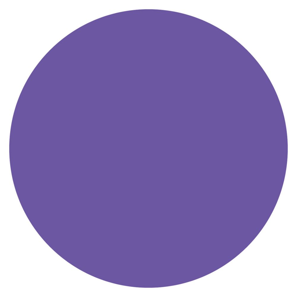 DayMark&reg; MoveMark&trade; 3/4" Circle Purple Blank Label