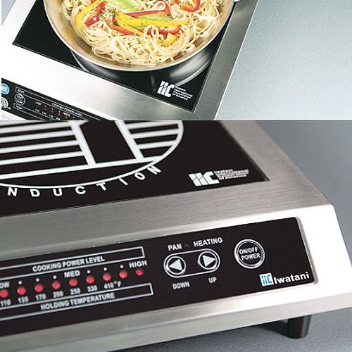 Iwatani Low-Profile Tabletop Induction Stove
