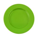 Steelite Performance Simplicity Fern Carnival 11-3/4" Plate