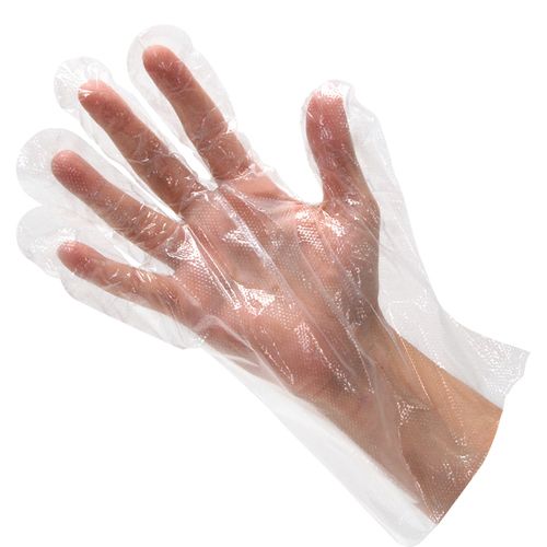 Clear Plastic Disposable Gloves, 100/Pkg