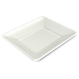 Delfin 12" x 10" x 1.5" White Pacific Rim Tray