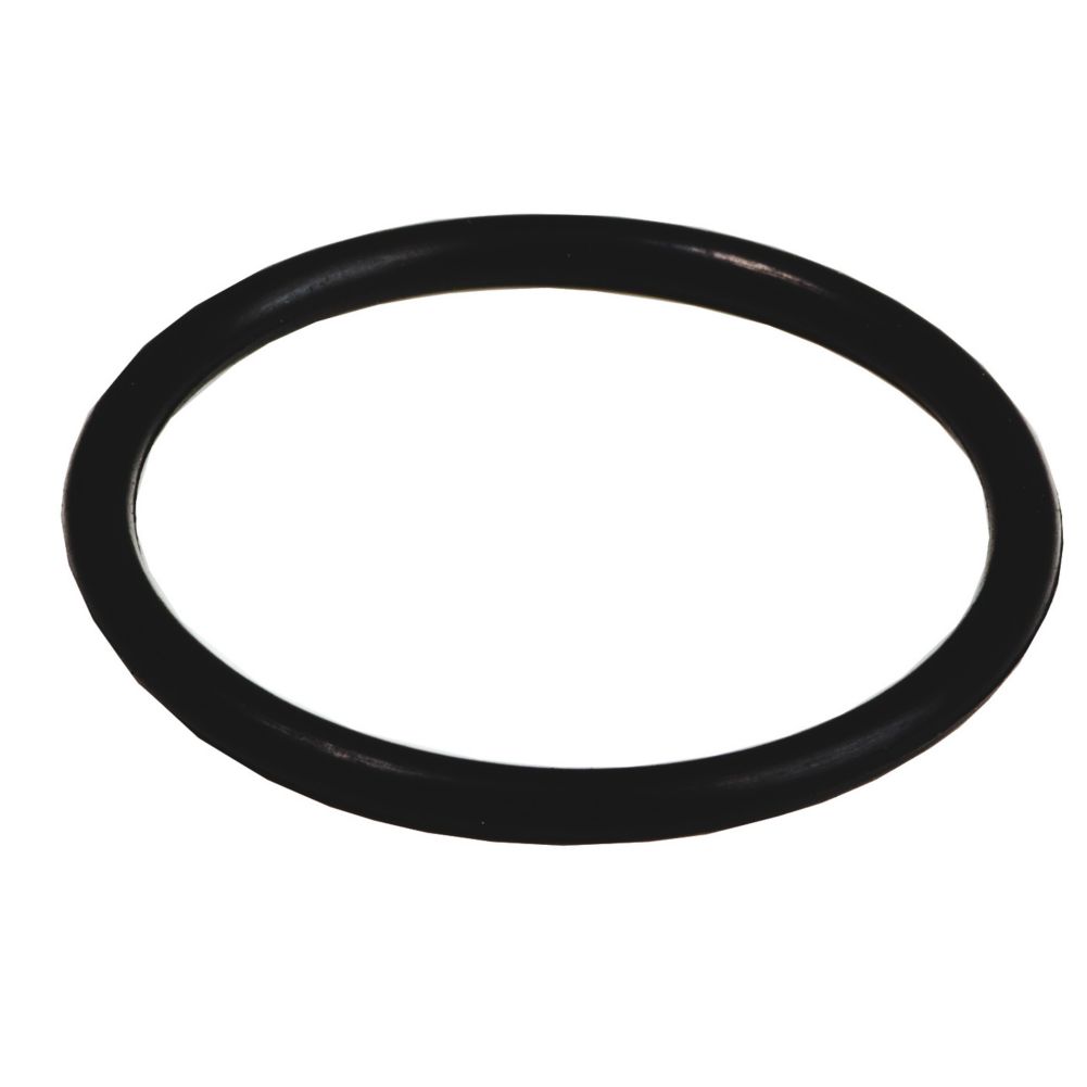 BUNN&reg; Large O-Ring for Model HC3 Cappuccino Dispenser