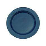 Steelite Performance Simplicity Sapphire Carnival 11-3/4" Plate