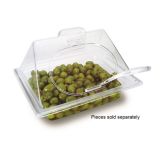 Delfin 12" x 10" Clear Side Cut Hinged Dome