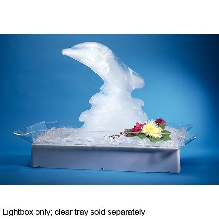 Carlisle&reg; Large Light Box