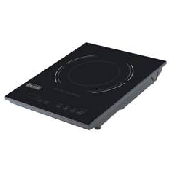 Eurodib Portable 110V Induction Cooker