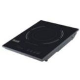 Eurodib Portable 110V Induction Cooker