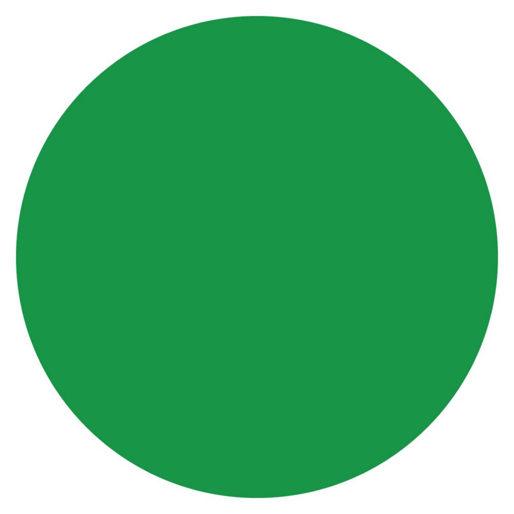 DayMark MoveMark&trade; Green &frac34;" Blank Day Circle