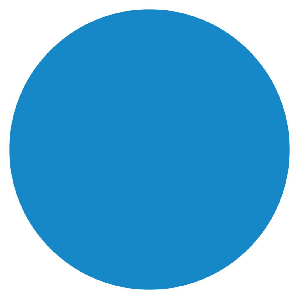 DayMark MoveMark&trade; Blue &frac34;" Blank Day Circle