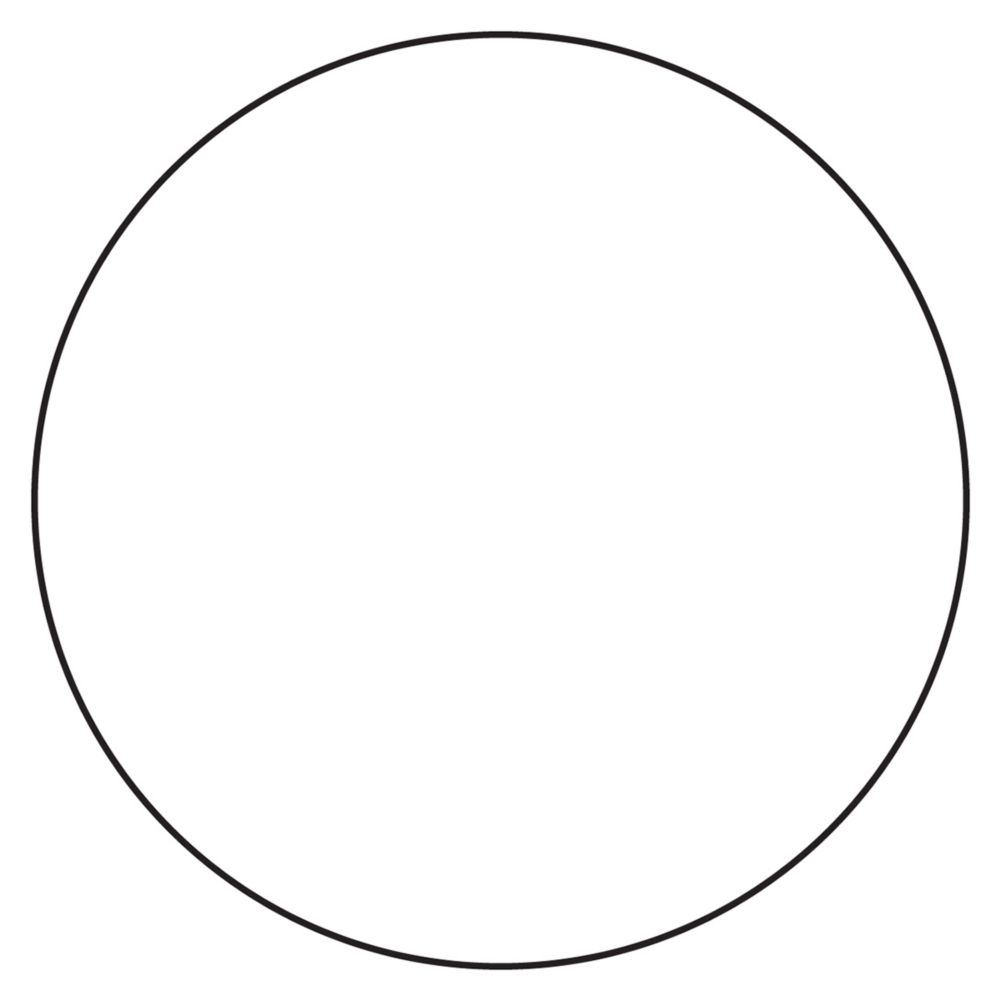 DayMark DuraMark&trade; Round White 1" Blank Label