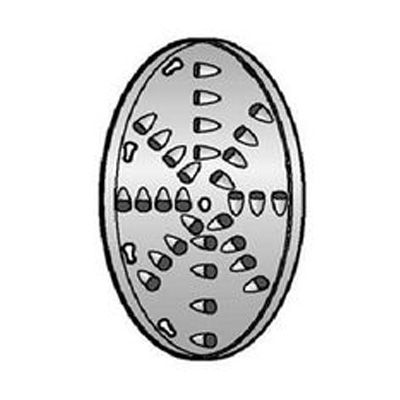 Grating Disc, S/S