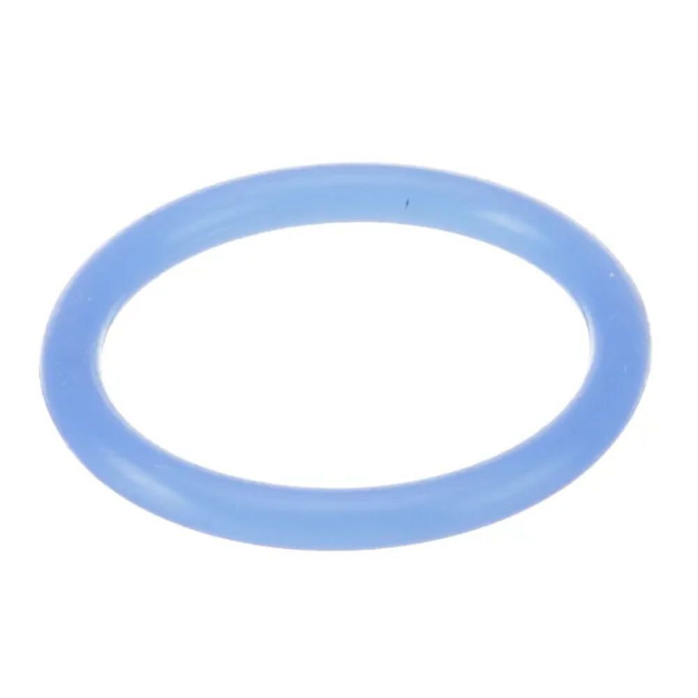 Server 1" O-Ring For Pump