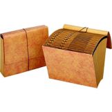 Accordian File w/ Flap Closure, 12" x 10"
