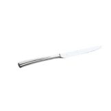 Rene Ozorio Matrix S/S 9-1/4" Standing Steak Knife