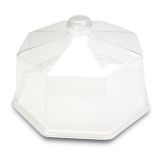 Delfin 13.5" x 13.5" Clear Octagonal Dome