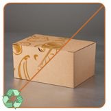 LBP Kraft Corrugated Paperboard Lunch Box with Fruit Deco Design
