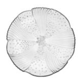 Libbey Harmony Duratuff&reg; 7-5/8" Salad Plate