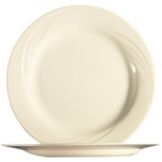 Cardinal Arcoroc Cypress 11" Dinner Plate