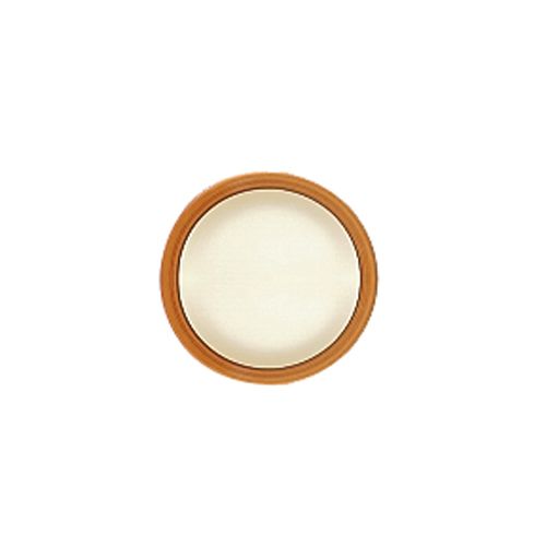 Homer Laughlin China Bavarian Brush Narrow Rim 5-1/2" Plate