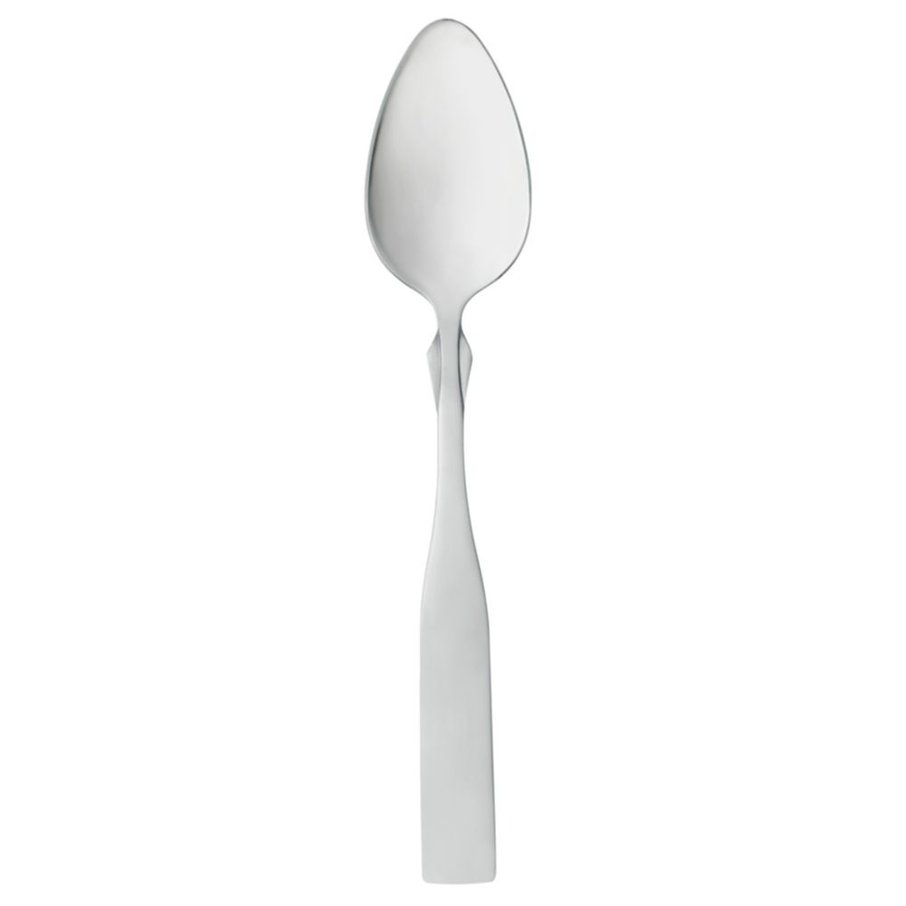 Salem S/S 6" Teaspoon