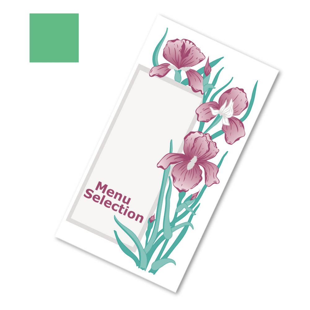 Dinex&reg; Iris Garden Green Patient Menu f/ Breakfast, Lunch, Dinner
