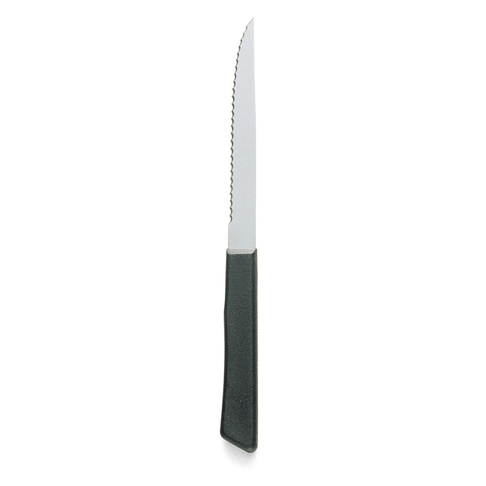 Walco Pointed Tip S/S Steak Knife w/ Plastic Handle, 4-1/4" Blade