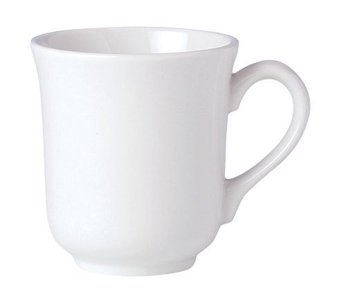 Steelite Performance Simplicity Fern Carnival 10 Oz Mug