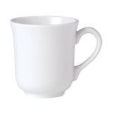 Steelite Performance Simplicity Fern Carnival 10 Oz Mug