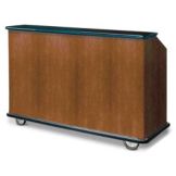 FWE Conventional Portable Bar w/ Sink, 74"