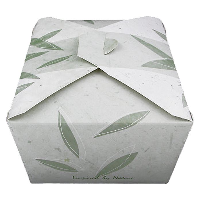 Bio-Pak #4 "Inspired By Nature" Container 7.75 x 5.5 x 3x5