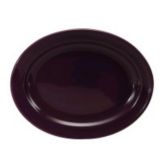 Oneida&reg; Spectra&trade; Eggplant 11-1/2" x 9-1/4" Platter