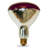 Incandescent Shatter-Resistant Red 250W Heat Lamp