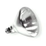 Incandescent Shatter-Resistant Clear 250W Heat Lamp