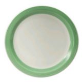 Oneida&reg; Jubilee&trade; 6-3/8" Seamist Green Plate