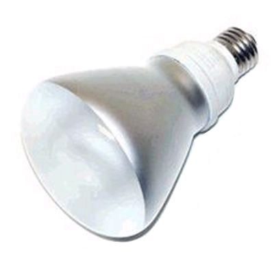 Fluorescent Screw-In Flood Bulb, 14W