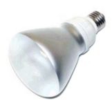 Fluorescent Screw-In Flood Bulb, 14W