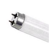 Fluorescent Bulb, 48", 32W, 35K