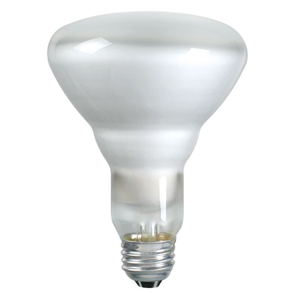 Flood Bulb, 65W