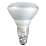 Flood Bulb, 65W