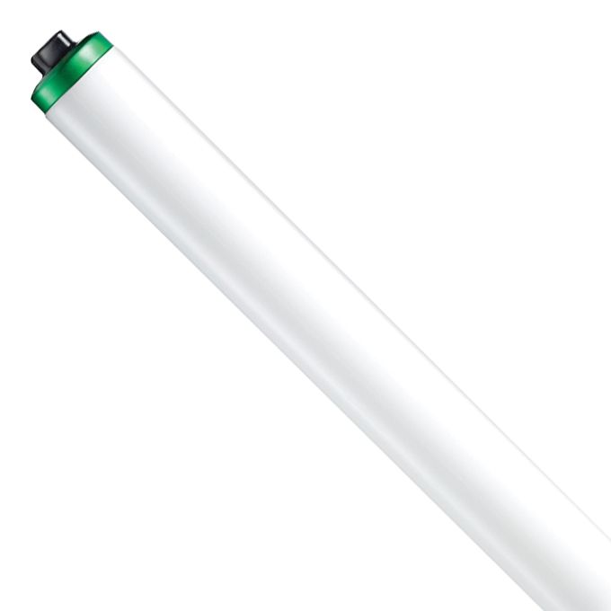Accuserv Fluorescent 60W 48" High Output Bulb