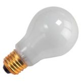 Clear Incandescent Bulb, 75W