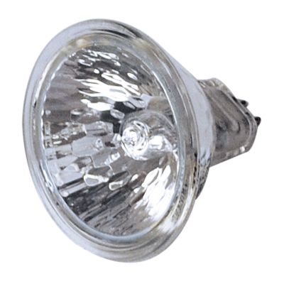 Halogen Flood Bulb, 50W